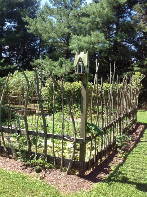 Vegetable Garden With Stick Fencing Awesome At Keeping Deer At Bay