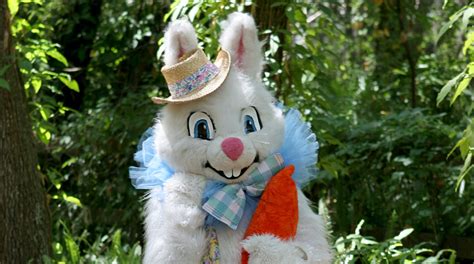Your easter bunny stock images are ready. Florida Man in Easter Bunny Costume Arrested After Hit-and ...