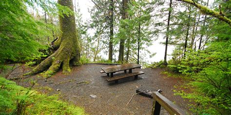 A Complete Guide To Camping In Olympic National Park Outdoor Project