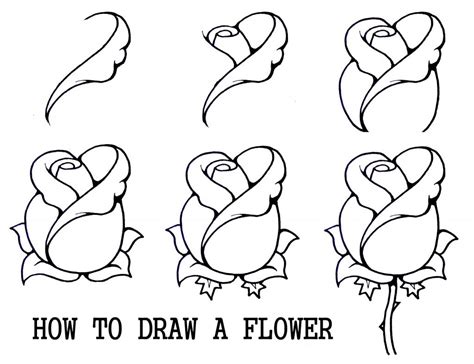 Ideas Of Draw For Beginners Step By Step | Roses drawing ... These lines and curves are very important, they are like pillars to a building, if don't to get more information about steps to draw a portrait, visit 8 easy steps to drawing a portrait, learn to draw people step by step, or realistic.