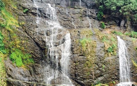 Kesari Waterfalls 5 Star Resort In Kerala