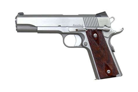 The Best 10mm Pistols For Hunting And Self Defence Reviews And Buyer