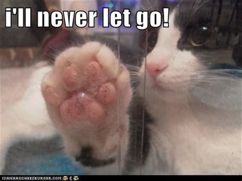 The Best Of I Ll Never Let Go 18 Pics
