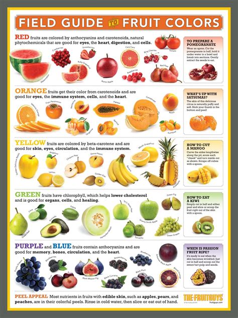 Source Infographics Field Guide Fruit Colors Fruit Nutrition Fruit For