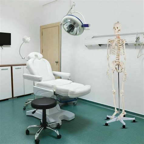 Medical School Human Anatomy Class Life Size Skeleton Model 10995