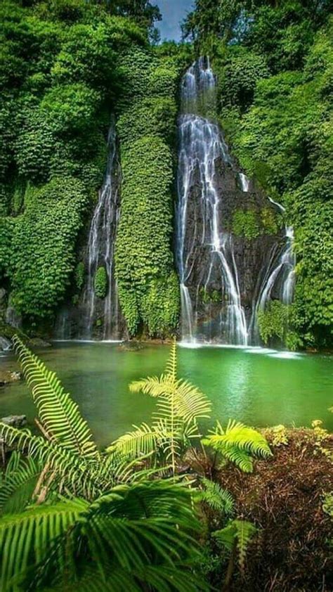 1080p Free Download Waterfalls Bonito Beauty Green Lake Leaves