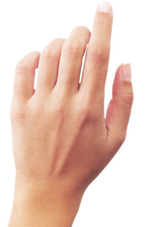 Hands PNG Image PurePNG Free Transparent CC PNG Image Library