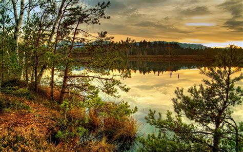 Sfondi Alberi Paesaggio Foresta Collina Lago Acqua Riflessione