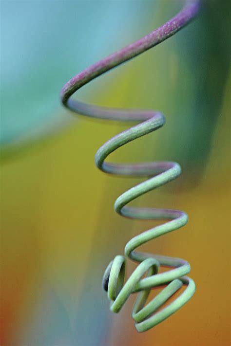 Spiraling Photograph By Debbie Oppermann Fine Art America