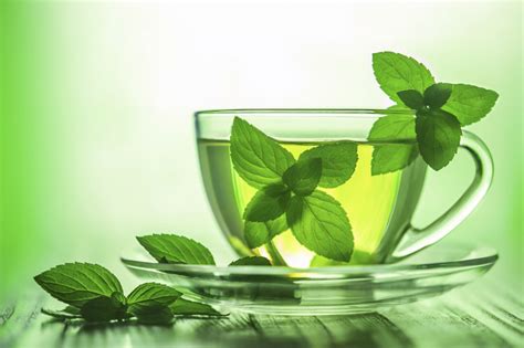 Er schmeckt köstlich und zeichnet sich durch viele gesundheitsfördernde eigenschaften aus. Zehn Gründe, um grünen Tee zu trinken - Wissensblog