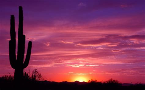 Arizona Sunset Desert Area Orange Sun Red Sky Clouds Landscape Foto Desktop Hd Wallpapers For