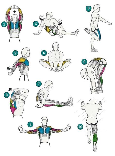 Warm Up Importance And Exercises Sportnova Uk