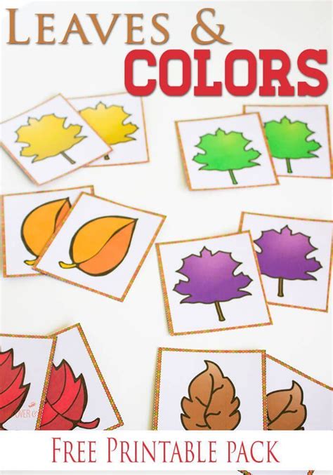 Free Fall Colors Printable Activities for Preschoolers | Colors