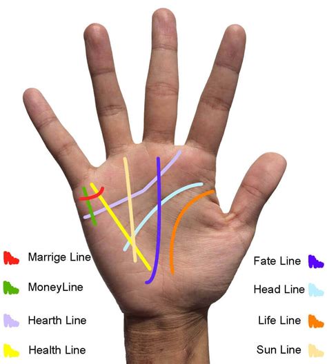Learn Health Palm Reading Lines Palm Reading Lines Palm Reading