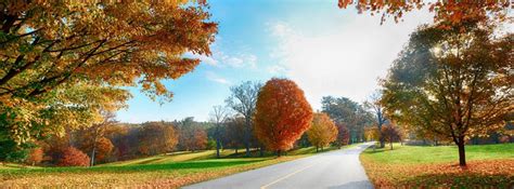 30+ Facebook Cover Pages & Backgrounds | Free & Premium ... Blingify your facebook profile cover.