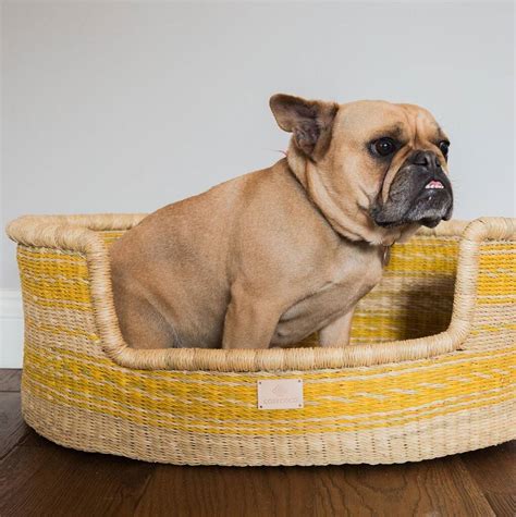 Yellow Handwoven Dog Basket Bed By Cosy Coco
