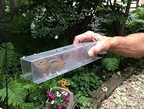 Easy Chipmunk Trap 2 Pack You Can Get More Details By Clicking On
