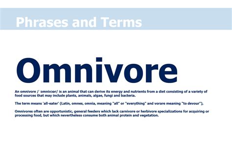 An omnivore is a kind of animal that eats either other animals or plants. Omnivore | Galnet Wiki | FANDOM powered by Wikia