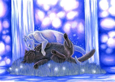 Graystripe And Silverstream Warrior Cats Forever Photo 30386333