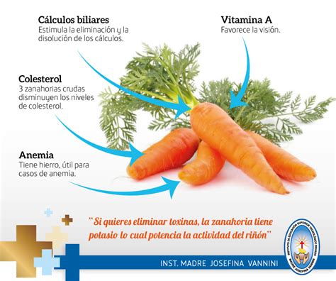 Instituto Vannini Los Beneficios De La Zanahoria infografía Free