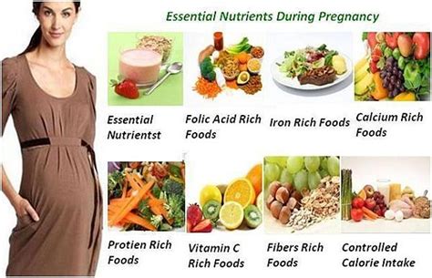 Discover A Healthy Diet For Pregnant Women With 19 New Tips V Kool