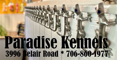 Affordable Pet Care | Augusta Georgia | Paradise Kennels