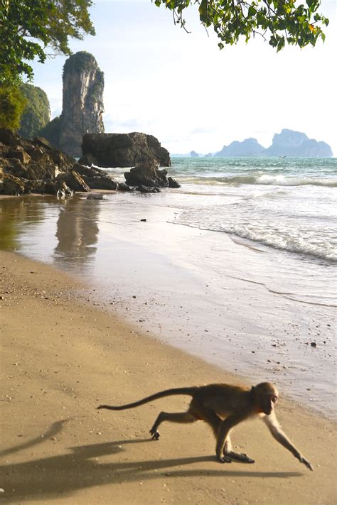 Three Day Krabi Itinerary Beaches Temples And Paradise Islands