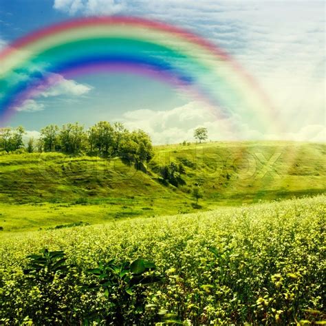 Rainbow On The Meadow Abstract Natural Stock Image Colourbox