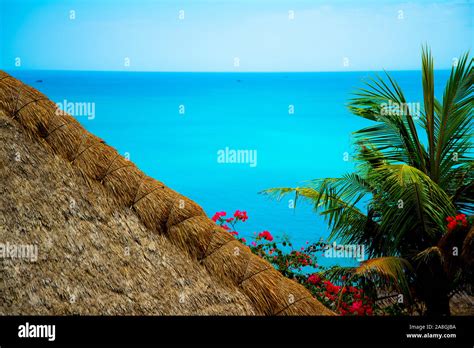 Thatched Roof Tropical Grass Hut Hi Res Stock Photography And Images