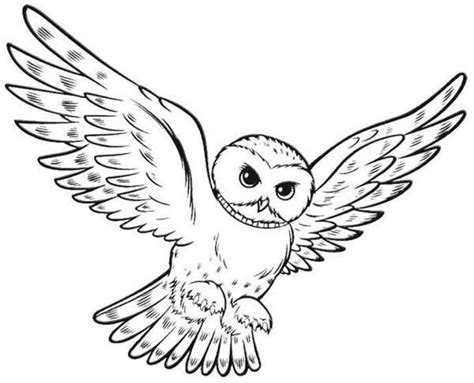 20 adventurous harry potter coloring pages your toddler will love to do. Pin on Coloring