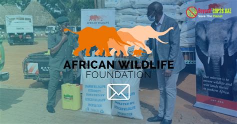 Letter To African Wildlife Foundation Attending Cop28 Uae Will