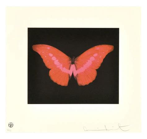 Damien Hirst Butterflies 6