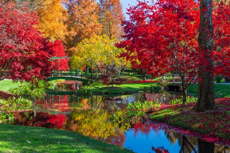 Nestled in the hills of northeast georgia, lies the german alpine city of helen. Things To Do In Helen Georgia: The Ultimate Guide