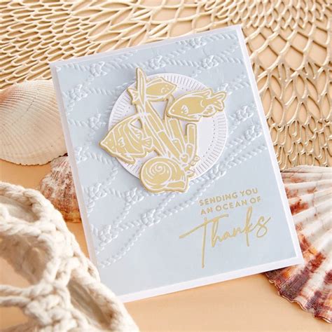 Spellbinders D Embossing Folders Cast Away By Dawn Woleslagle