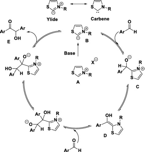N Heterocyclic Carbene Mediated Organocatalysis Reactions Intechopen