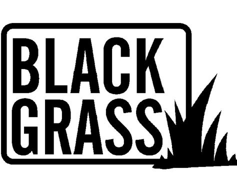 Black Grass Catskills Music