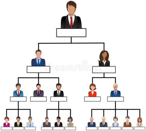Organization Corporate Chart Company People Stock Vector Illustration