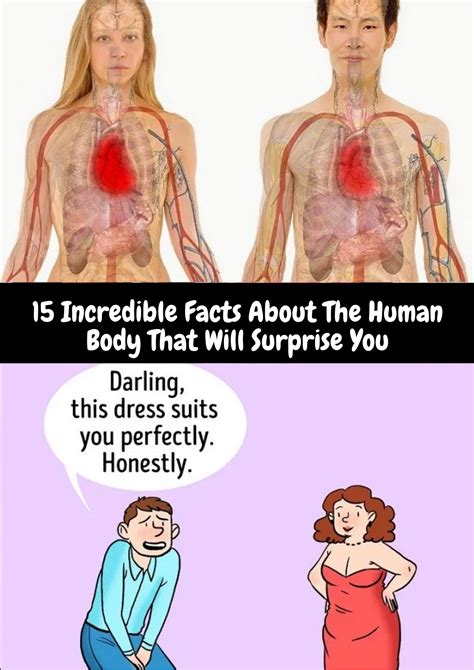 15 Incredible Facts About The Human Body That Will Surprise You The