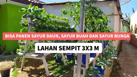 Jenis tanaman sayuran juga bisa kamu pilih untuk ditanam di halaman rumah. Menanam sayuran dan buah di halaman rumah - berkebun di ...
