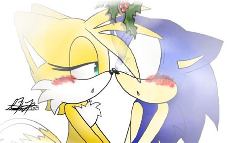 Chapter 5 The Next Day A Sonic The Hedgehog Fanfic Tailss Secret