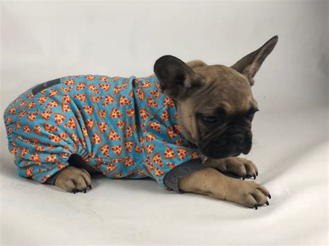 However, such is not the case for the french bulldog. Our Guide: French Bulldog Colors and Color Patterns ...
