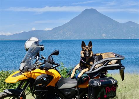 Riding a motorcycle isn't something that comes intuitively to everyone. Have Your Dog and Ride With Her Too! | Rider Magazine