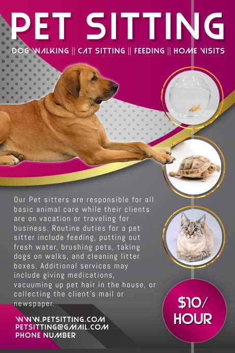 Pet Sitting Services In Home Discounts For Pet Sitting And Dog Care