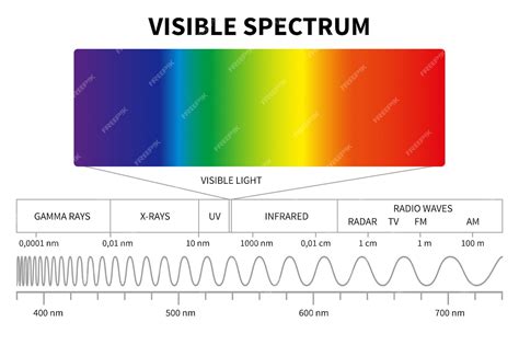 가시 광선 다이어그램 색 전자기 스펙트럼 광파 주파수 프리미엄 벡터