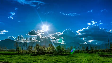 Sunrays On Trees And Green Grasses In Mountains Background 4k Hd Nature