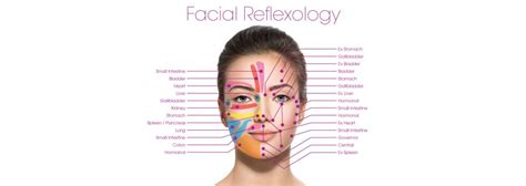 facial reflexology in durham holistic healing therapies