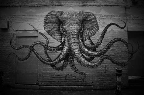 Elephants Octopus Hd Wallpapers Desktop And Mobile Images And Photos