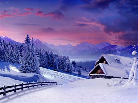 Snježni Prekrivač Obojao Prirodu I Kuću U Bijelo Download Besplatna