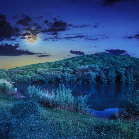 Pine Forest And Lake Near The Mountain At Night Stock Photo Image Of