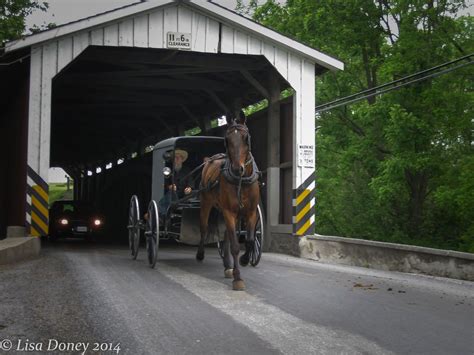Amish Amish Covered Bridges Outdoor Decor